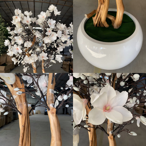 Árbol de Magnolia artificial de interior <span class=keywords><strong>blanco</strong></span> con material de madera Faux Cherry Blossom para restaurante Hotel decoración del hogar - Product Image 3