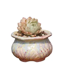 Vaso di piante succulente sigillo all'ingrosso sacchetto di stoffa inciso vaso di fiori forno a flusso variabile in ceramica grossolana smaltata