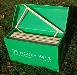 Equipo de apicultura Corflute Plastic <span class=keywords><strong>Bee</strong></span> Hives Nucleus Box Queen Aring Nucs para Apicultura - Product Image 5