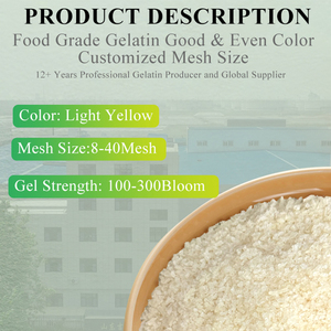 Polvo de gelatina de grado alimenticio de Venta caliente Cas 9000-70-8 Gelatina 280 <span class=keywords><strong>Bloom</strong></span> 8Mesh