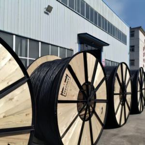 Câble d'alimentation monobrin en cuivre N2XSY <span class=keywords><strong>HTA</strong></span> 12/20(24)kV, isolé XLPE, 1*35/16mm² - Product Image 5