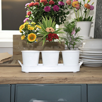 Ensemble de jardinières d'herbes avec plateau Pots d'herbes en métal de jardin pour plantes d'intérieur Kit rond de jardin de cuisine Pots de plantes de rebord de fenêtre jardinière