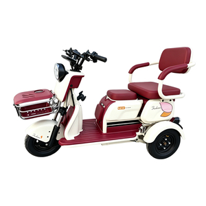 Fabricant chinois fournit des voitures électriques à trois roues les plus vendues pour les particuliers - Product Image 3