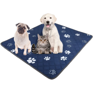 Precio bajo 100% a prueba de fugas, reutilizable, superabsorbente, antideslizante, almohadilla de entrenamiento para mascotas, entrenador de orina para cachorros y perros, suministros de entrenamiento para mascotas - Product Image 1