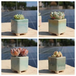 Ceramic Succulent Planter American Style Garden Flower <b>Pots</b> Unique Patterns Wholesale Products Planter <b>square</b> Drainage Hole - Product Image 4