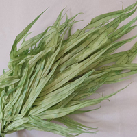 Ranting Rumput Daun Bulu Seribu yang Diawetkan untuk Dekorasi Pernikahan, Panicum Capillare Kering Sentuhan Asli, Perlengkapan Bunga Hijau