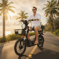 Vélo électrique de ville en acier avec moteur sans balais 500W 48V20A pour cyclomoteur et scooter