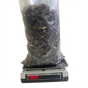[VENTA CALIENTE] Operculum de Murex, Concha Marina para Aceites Aromáticos, Ingredientes para Incienso, Suministros para el Día de San Valentín y Graduaciones Thanh - Product Image 1