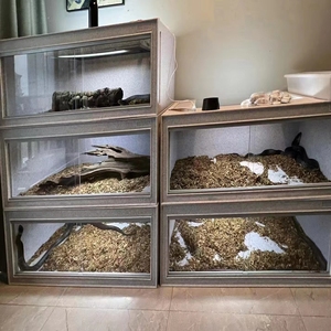 Nhựa bò sát hồ cạn Stackable lớn rắn bao vây cho người lớn <span class=keywords><strong>Python</strong></span> - Product Image 3