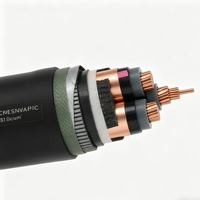 3-adriges 70mm² 240mm 11kV XLPE Armiertes Stromkabel Spezifikationen und Preise