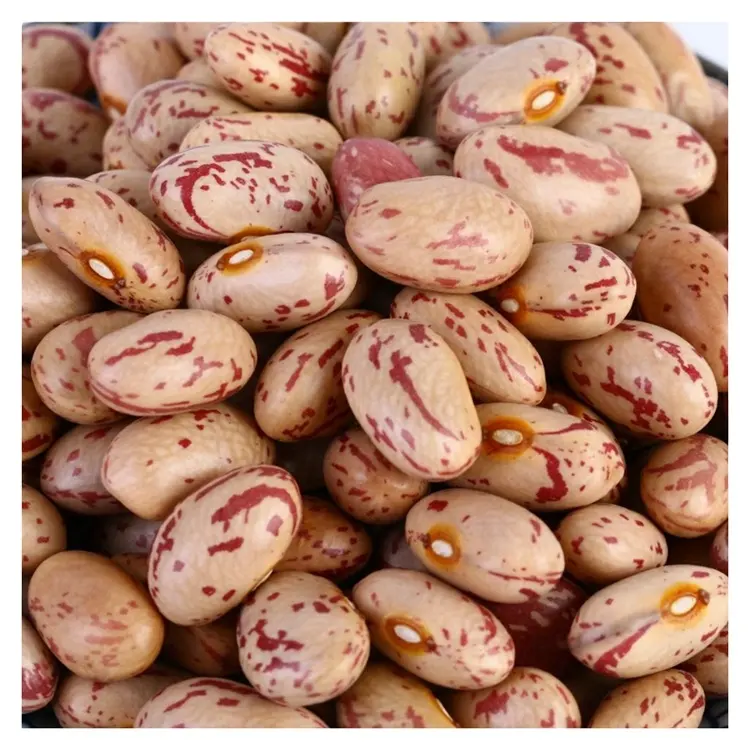 Pure natural green and additive-free light spot kidney beans  nutrients to meet the needs of the human body