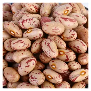 Pure Natural Green And Additive-free Light Spot Kidney Beans Nutrients To Meet The Needs Of The Human Body