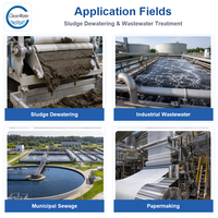 Polyacrylamide Cationique (CPAM) en Poudre Blanche Fine, Forme de Sable, Teneur en Solide Min. 90%, Ionivité 5-80