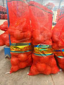 Cebola Vermelha Cebola Fresca, Cebola Persa, Cebola Fried Cebolas Holanda Cebolas Crocantes com melhor preço - Product Image 5