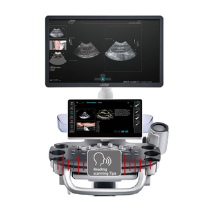 Sistema de Ultrasonido Veterinario Mindray Vetus 50 Original, Certificado CE, Doppler 3D/4D PW para Animales Grandes y Pequeños - Product Image 3