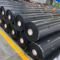 Geomembrana de HDPE de 1.00mm y 1.5mm para Revestimiento de Estanques de Camarones, Acuicultura, Cultivo de Camarones, Almacenamiento de Agua, Vertederos y Proyectos Mineros