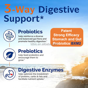 צמח אודם צמח המבוסס על פרוביוטיקה במשקל פריו אורגני תערובת סיבים ופרוביוטיים אבקת תוספת אנזים לבריאות המעי - Product Image 2