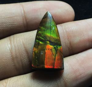 Cabochonsสามเหลี่ยมAmmoliteแคนาดาธรรมชาติอัญมณีหลวมจากอินเดีย - Product Image 5