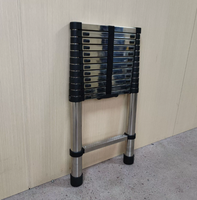 Échelle télescopique portable en aluminium/fer pour la maison, la construction et l'entrepôt - Vente en gros
