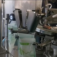 Machine automatique d'emballage alimentaire en sachet debout Machine d'emballage de pesage de graines de tournesol de carotte
