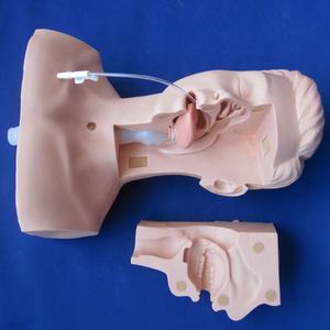 Simulador Avançado de Treinamento em Sucção, Modelo de Sucção de Esputo - Product Image 2