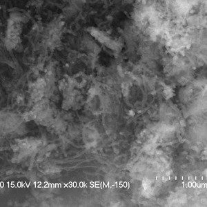 Nanotubi di Carbonio Monopareti Acquosi di Classe Premium con Gruppi Funzionali (Idrossilici e Carbossilici) di Varie Dimensioni per Uso Organico - Product Image 1