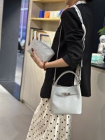 Nouveau Sac à Bandoulière et Sac Seau Tendance en PU pour Femme, Style Luxe Designer, Idéal pour le Shopping - Collection 2026
