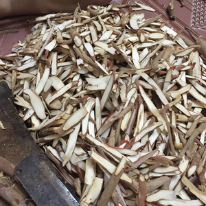 สารสกัดจากพืช Curculigo Orchioides Gaertn ฮอลิเดย์-เวียต เดลต้า แบบแห้งทั้งต้น - Product Image 1