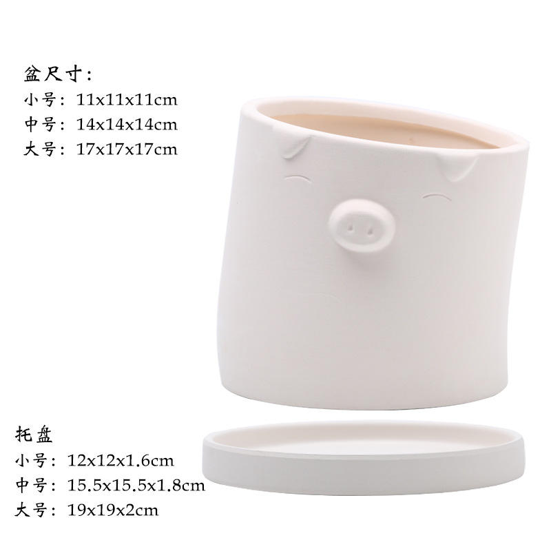 Plain embryo pig with tilted head