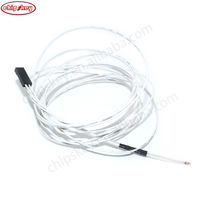 #54099 100K 1% 3950 Sensor de temperatura para impresora 3D con cabezal Dupont