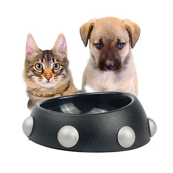 Factory Hot Selling Pet Willow Nail Dog Bowl Dog Cat Feeding Dual Bowls Cat and Dog Food Basin Water Bowl Pet Daily Necessities
