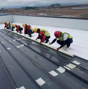 熱可塑性ポリオレフィンTPO防水膜屋根屋根Tpoポリマー防水膜 - Product Image 1