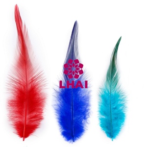 6-8 ''15-20cm Plumes de selle de coq colorées Plumes de poulet Plumas pour la pêche à la mouche Arts et artisanat - Product Image 3