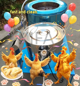 Machine <span class=keywords><strong>à</strong></span> épiler les volailles (poulets, canards et oies) – Équipement agricole pour l'élevage avicole, <span class=keywords><strong>Plumeuse</strong></span> <span class=keywords><strong>à</strong></span> volailles neuve - Product Image 6