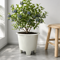 Offre Spéciale : Pots de fleurs en plastique blanc pour pépinière, empilables, de haute qualité, légers et durables, pour jardin intérieur et extérieur