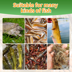 Gratis Monsters Beschikbaar Schildpad Palingvanger Gemaakt In China Toevoegingsmiddelen Productsoort Toevoegingsmiddelen - Product Image 5