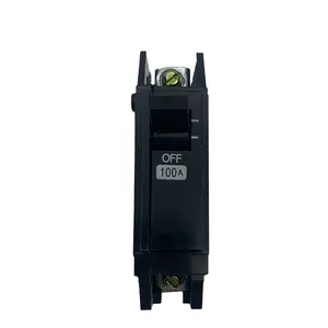 MCB THQL TQL-1P 100A SQUARED Miniature Circuit Breaker