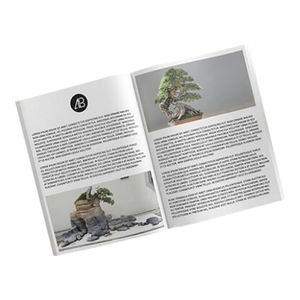 Kostenlose Muster Günstige Kosten Voll farbige Custom ized Modern Living <span class=keywords><strong>Magazine</strong></span> <span class=keywords><strong>Printing</strong></span> Company - Product Image 4