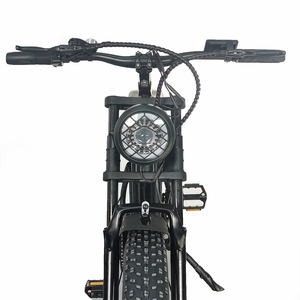 Bicicleta Eléctrica con Llantas Gruesas de 20 Pulgadas para Montaña, 1000w para Adultos, MT-20 1000w para Adultos - Product Image 2