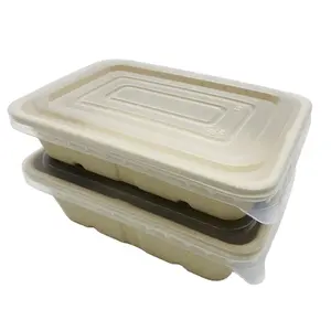 Biodegradable Tableware Lunch Box Sugarcane Bagasse Food Container With PP PET Lid 750ml