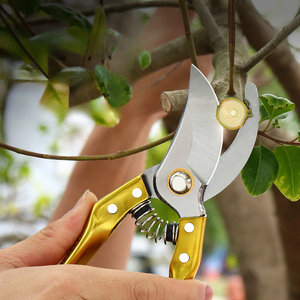 Bypass Pruning Shears Garden Secateurs Flower Branch Plant Scissors Garden Hand <strong>Pruner</strong> - Product Image 2