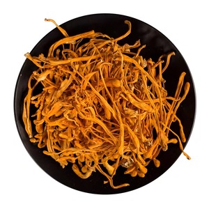 <span class=keywords><strong>Cordyceps</strong></span> militar de cultivação orgânica de alta qualidade, seca todo o tibetano militar cru <span class=keywords><strong>cordyceps</strong></span> militar - Product Image 5