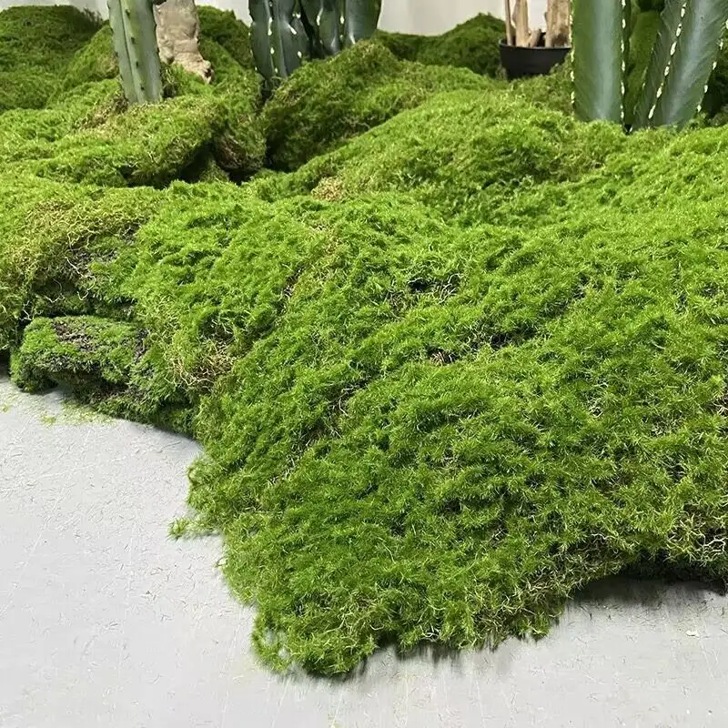 Preserved Moss Wall Art Natural Moss Wall Material Dried Eternal Pole Moss With Multiple Color