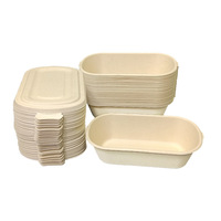 Boîtes à lunch jetables biodégradables en fibre de bambou de qualité alimentaire, capacité 1100 ml ; Emballage léger pour repas/salades/plats à emporter ; Design moderne
