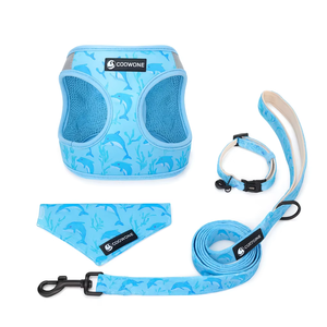 Custom Logo Sublimatie Huisdier Hond Halsband En Harnas Set Voor Honden Gepersonaliseerde Halsband Hond Riem Huisdier Accessoires - Product Image 2