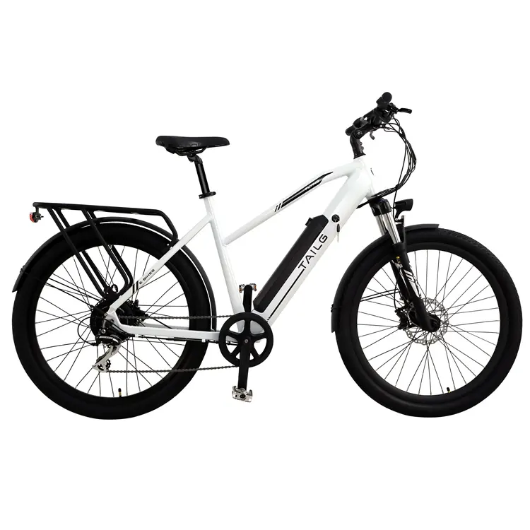 Tailg Factory Direct Price electric Motor New Model Electric Bicycle