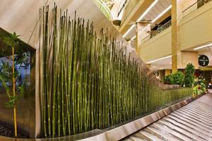 Chúng tôi đã làm một dịch vụ Thương mại sân bay Nội thất cảnh quan trang trí với cây cọ lớn được bảo quản tre lau sậy cây nhiệt đới cypres - Product Image 5