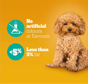 Multivitamines molles à mâcher pour chiens, supplément biologique de curcuma et de probiotiques-Soutient l'immunité, la digestion et la santé des articulations - Product Image 2