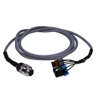 Faisceau de câblage moteur autonome LS Swap 4l80