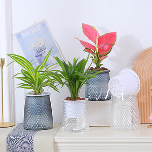 Maceta de estilo nórdico con absorción automática de agua, de resina de cristal gris, para plantas de interior, hidropónica, de escritorio. - Product Image 2
